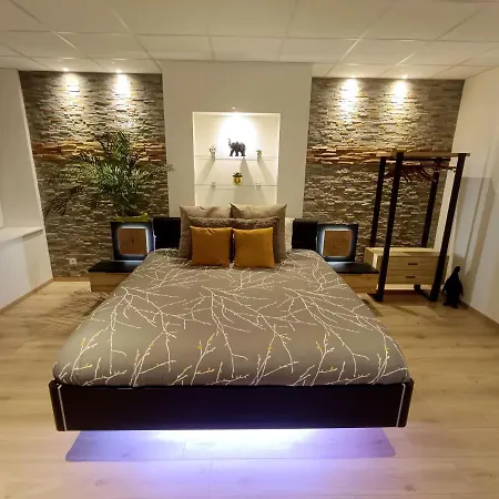 Spacieux Loft De 105 M² En Hyper Centre D'epinal Apartament *