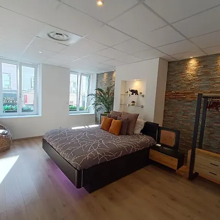 Spacieux Loft De 105 M² En Hyper Centre D'epinal Apartament
