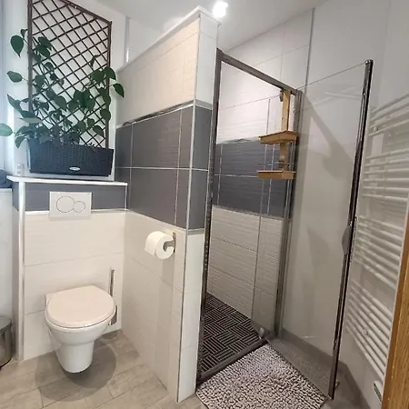 Spacieux Loft De 105 M² En Hyper Centre D'epinal Apartament