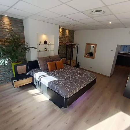 Spacieux Loft De 105 M² En Hyper Centre D'epinal Apartament Épinal