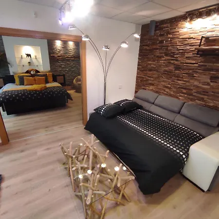 Spacieux Loft De 105 M² En Hyper Centre D'epinal Apartament *